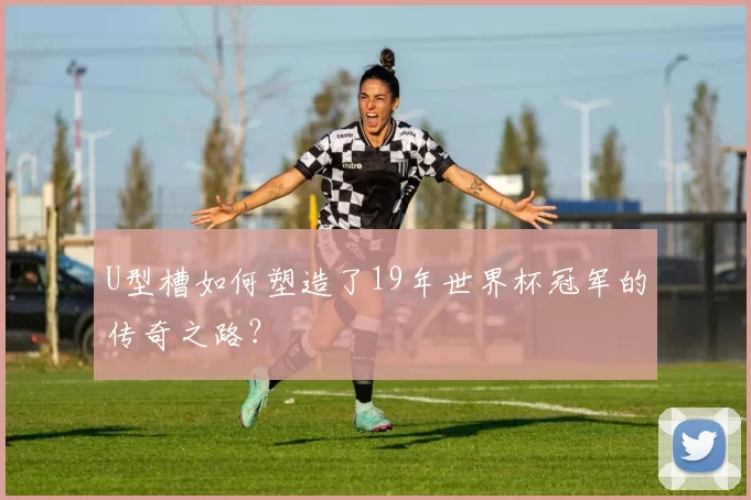 U型槽如何塑造了19年世界杯冠军的传奇之路?