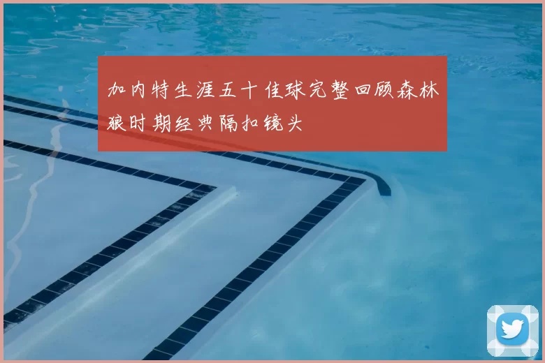 加内特生涯五十佳球完整回顾森林狼时期经典隔扣镜头