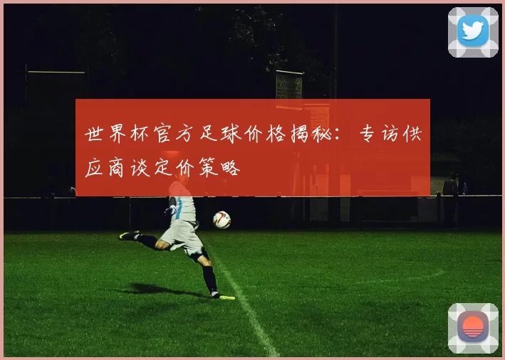 世界杯官方足球价格揭秘：专访供应商谈定价策略