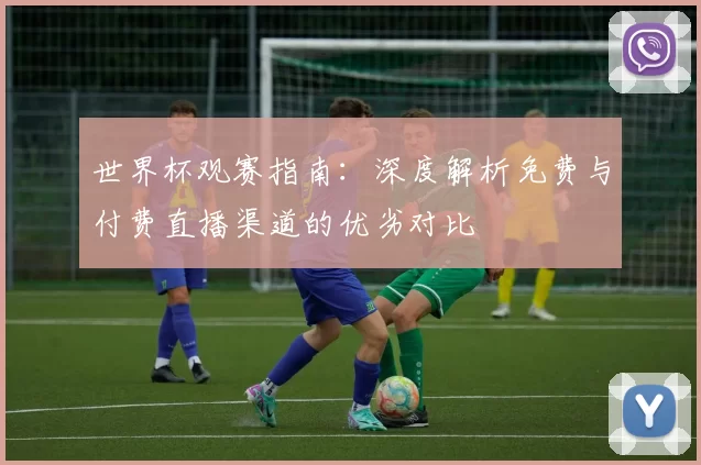 世界杯观赛指南:深度解析免费与付费直播渠道的优劣对比