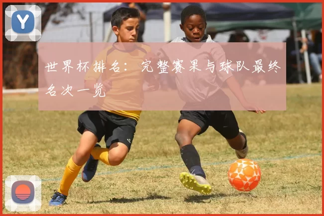 世界杯排名:完整赛果与球队最终名次一览