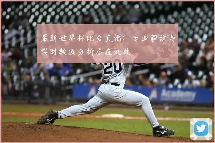 最新世界杯比分直播：专业解说与实时数据分析尽在此处