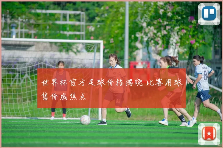 世界杯官方足球价格揭晓 比赛用球售价成焦点