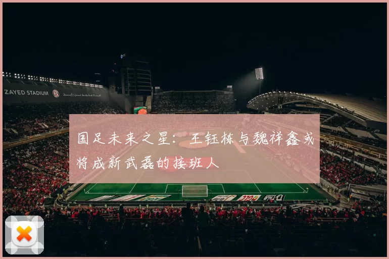 国足未来之星：王钰栋与魏祥鑫或将成新武磊的接班人