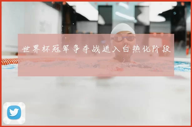世界杯冠军争夺战进入白热化阶段
