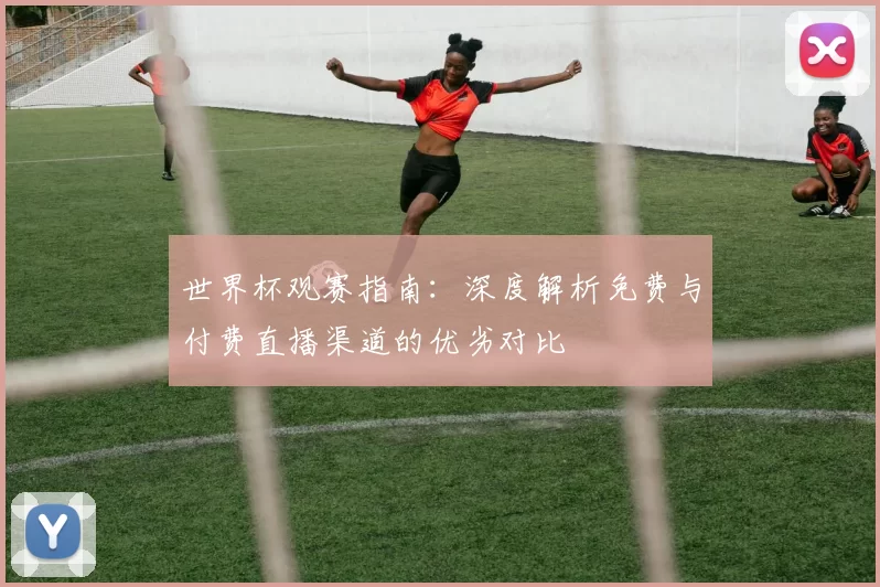 世界杯观赛指南：深度解析免费与付费直播渠道的优劣对比