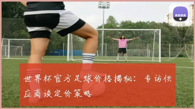 世界杯官方足球价格揭秘:专访供应商谈定价策略